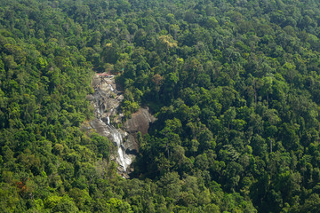 Tropical forest on Langkawi Island, Malaysia, Asia