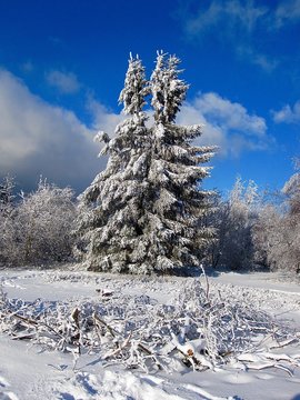Winterzauber im Sauerland