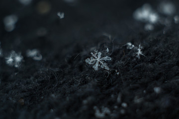 Macro snowflake on black