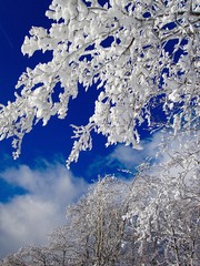 Winterzauber im Sauerland