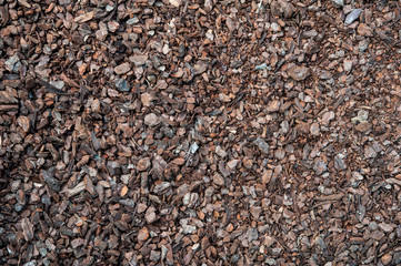 Compost mulch fragment