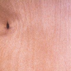 Fototapeta premium old wooden plank texture for background