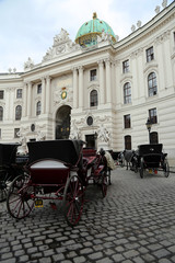 Obraz premium Kutschen vor der Wiener Hofburg