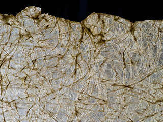Wispy texture, fiber background. With edge isolated on black.