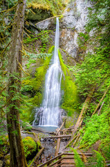 Marymere Falls, Olympic National Park