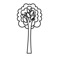 tree plant isolated icon vector illustration design