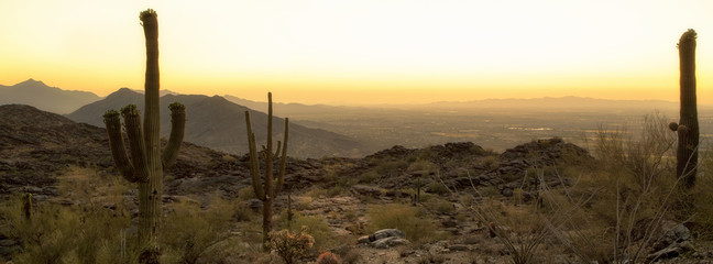 Horizontale banner van Phoenix Arizona-woestijn