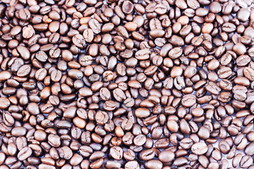 roasted coffee beans, can be used as a background