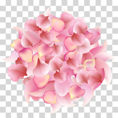 petals of rose, sakura and lotus