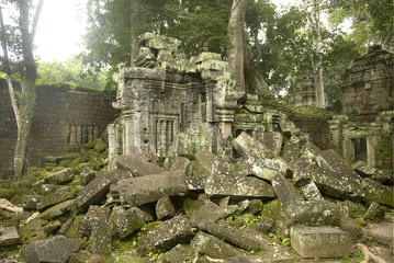 Ta Prohm  -  the temple at Angkor, Siem Reap Province, Cambodia
 - obrazy, fototapety, plakaty