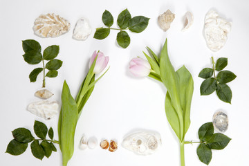 Frame from the leaves of roses and shells on white background. Memory of summer