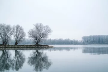 Fotobehang Winter at the Rhine river © danmal25