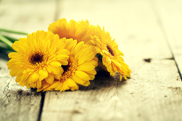 Beautiful Fresh Spring Yellow Bunch of Gerbers on Old Vintage Wo