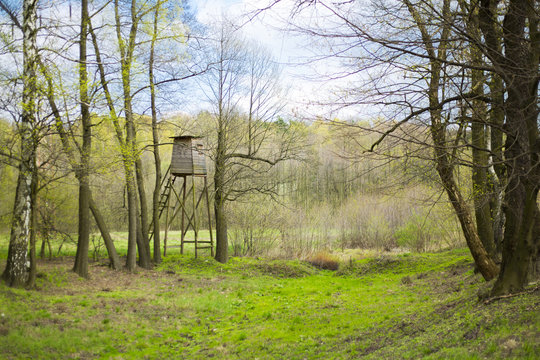 Hunters Tree Stand Among Trees In Forest