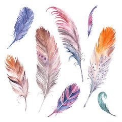 Watercolor drawing feather collection. Isolated images. For decor, tattoo