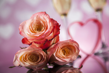 Champagne with Valentines day background and roses, mirror backg