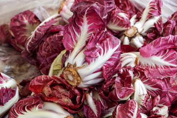 At the vegetable market, in Italy - Some plants of Radicchio di Treviso  chicory , a typical italian  cultivar.