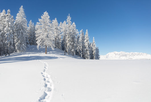 Verschneite Bergwelt, Alpen