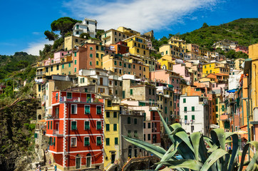 Fototapeta na wymiar Colorful palette of Riomaggiore in Cinque Terre