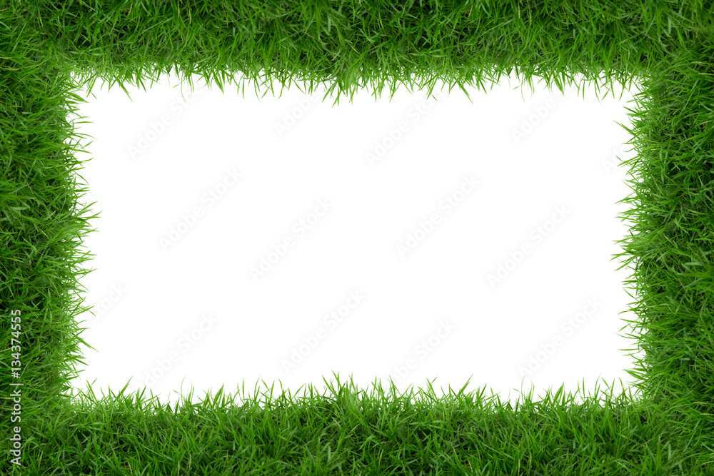 Wall mural grass frame isolate on white background.