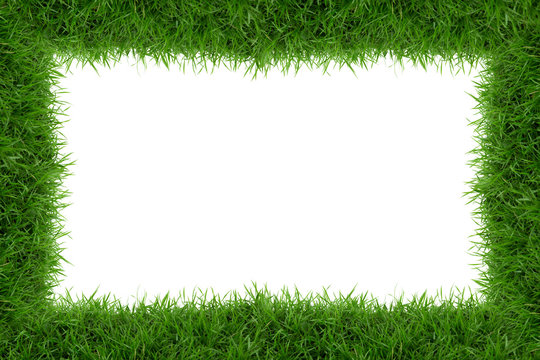 Grass frame isolate on white background.