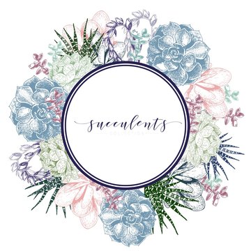 Vector hand drawn succulent wreath. Colorfull engraved vintage style art. Round bodred composition.