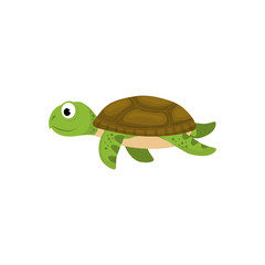 Marune turtle animal icon vector illustration graphic design