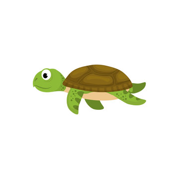 Marune turtle animal icon vector illustration graphic design