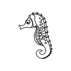 Sea horse animal icon vector illustration graphic design