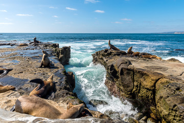 San Diego California