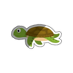 Obraz premium Marune turtle animal icon vector illustration graphic design