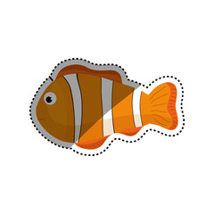 Sea fish animal icon vector illustration graphic design