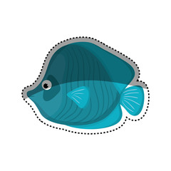 Sea fish animal icon vector illustration graphic design