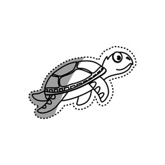 Marune turtle animal icon vector illustration graphic design