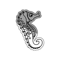 Sea horse animal icon vector illustration graphic design