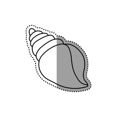 Sea shell isolated icon vector illustration graphic design