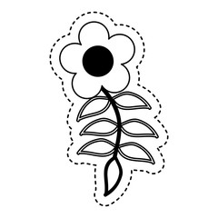cute flower isolated icon vector illustration design