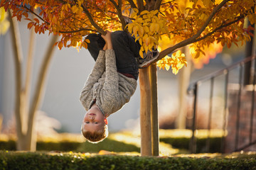 Boy hanging upside down from the tree.