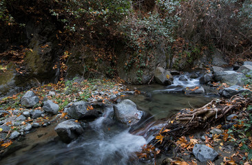 Water stream flowing in the river in autumn