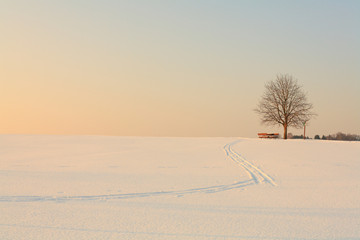 Winterlandschaft mit Skispur © David.Sch