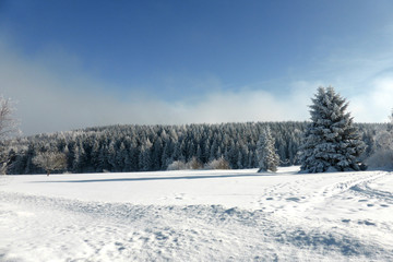 Schneelandschaft Altenberg Erzgebirge