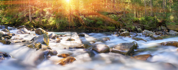  fantastic flowers - crocuses
