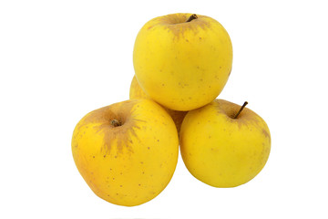 Yellow Apples