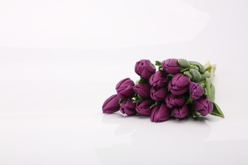 Bouquet of purple tulips