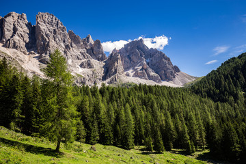 View of Val Venegia in summer with the Pale di San Martino in background. Dolomites, northern Italy.