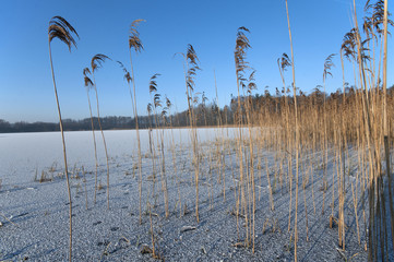 zima na Pojezierzu Drawskim