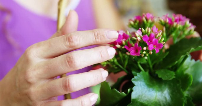 Close-up of female florist arraigning flower in wicker basket at flower shop