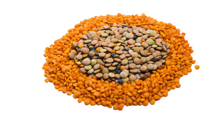 lentils pattern round, different varieties