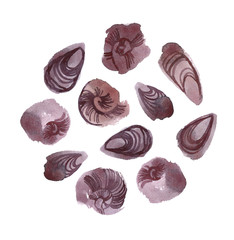 Sea Elements Composition. Hand-drawing watercolor illustration.