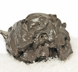 mud and salt from DEAD sea
